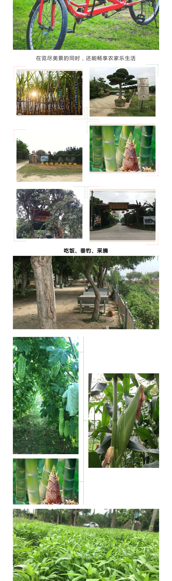 -5ec778c4-a270-476e-8363-622eac10c662_04.jpg