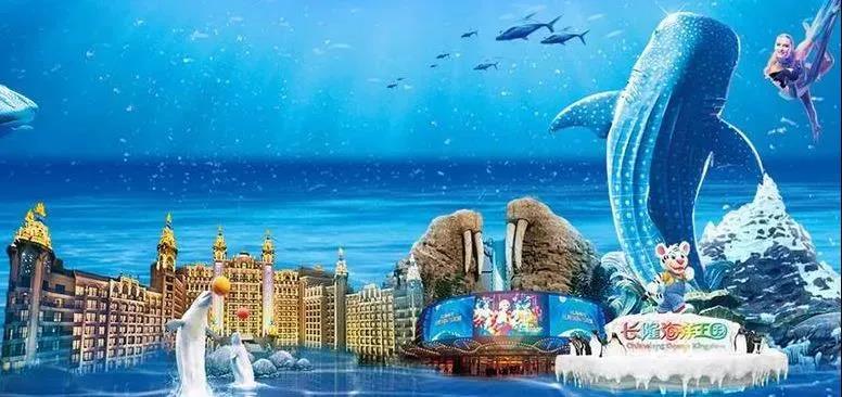 或联系不到客服,可致电0754-88241111/13318075843联系工作人员解决